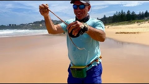 How to Catch Beach Worms | Quick and Easy !
