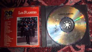 Video thumbnail of "FLAMAZO SANTANERO (LOS FLAMERS)"