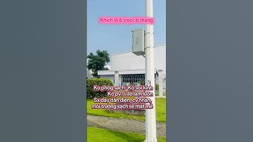 Công ty SD Việt Nam- KCN Bắc Thăng Long HN #tuyendungvieclam #fypシ #sdv #kcnbacthanglong