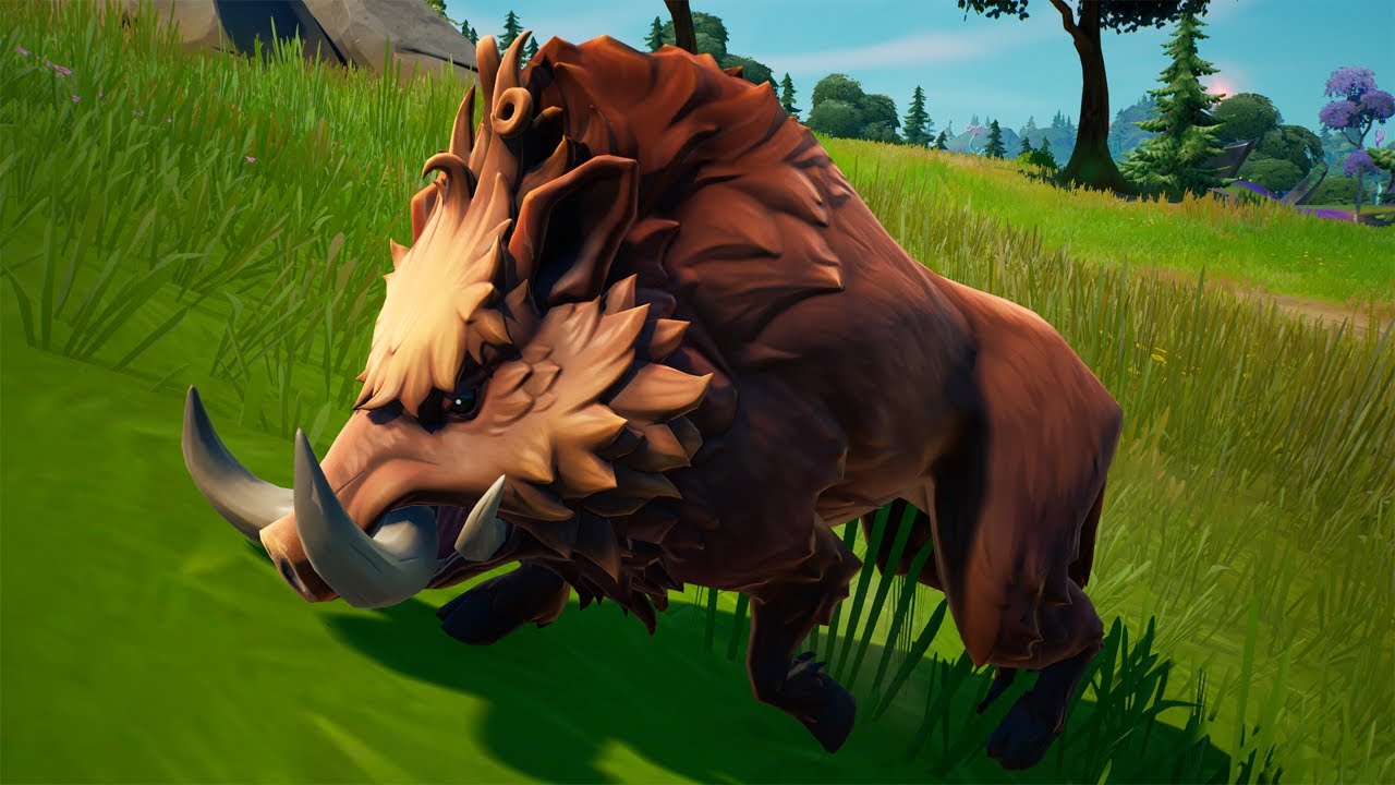 Hunt wildlife - Fortnite Week 12 Epic Quest