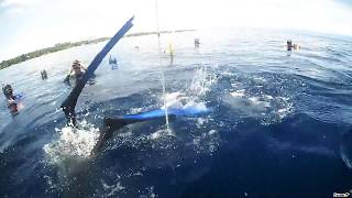 Philippines Freediving National Record 2017