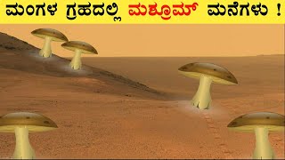 Mushroom Homes Of Aliens in Kannada | Nasa , Mars , Aliens