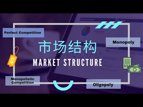 【经济学课程】 第十课 || 市场结构 Market Structure