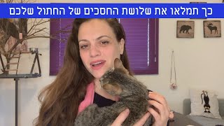 החתול שורט ונושך? - כך מתחיל כל טיפול התנגותי בחתולים! | אפרת סימון אילוף חיבי