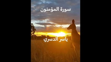سورة المؤمنون ياسر الدسري#المصحف#اكسبلور#ياسر_الدوسري#قرآن#القرآن_الكريم#الرحمن