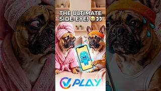 When she catches you smiling at your phone... 😭👀 #Shorts #funnydogs  #gamingmemes