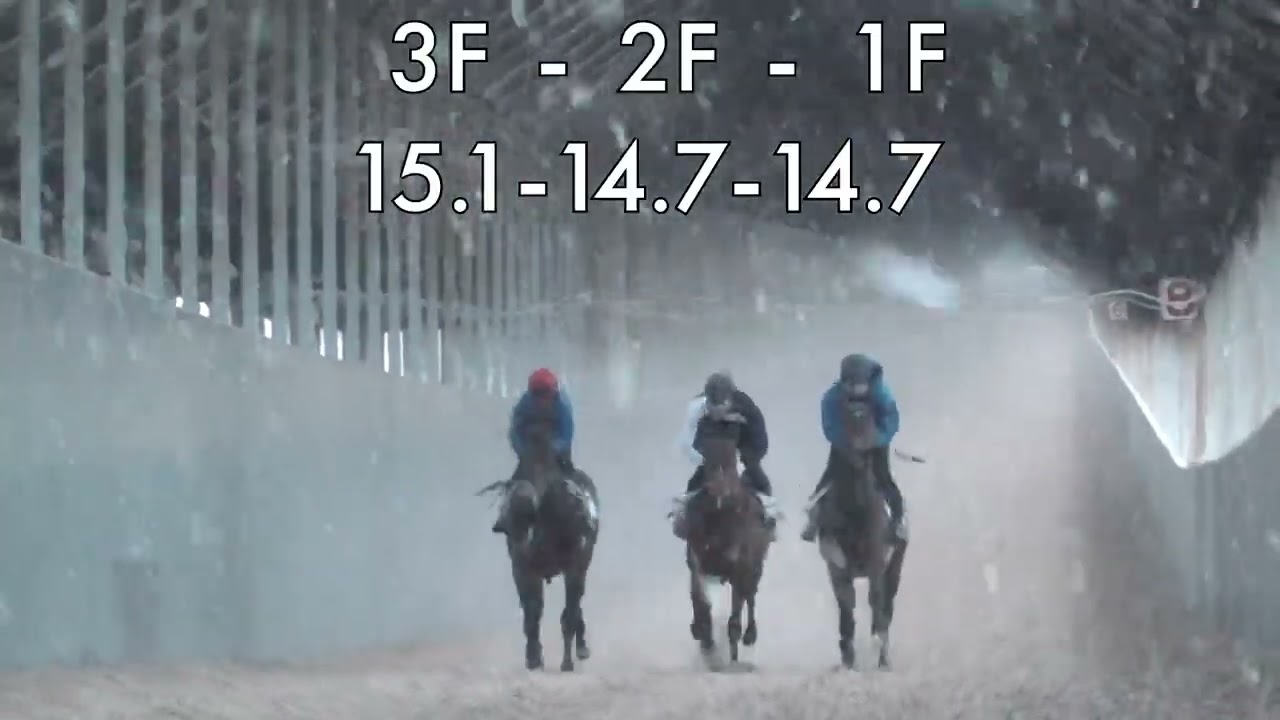 【株式会社エクワインレーシング】ヒメベニサクラ24  調教 坂路 2026/3/4撮影【調教動画】