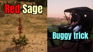 Wagon Trick Part 2 : Picking Red Sage in New Austin as Arthur with a Buggy : Red Dead Redemption 2