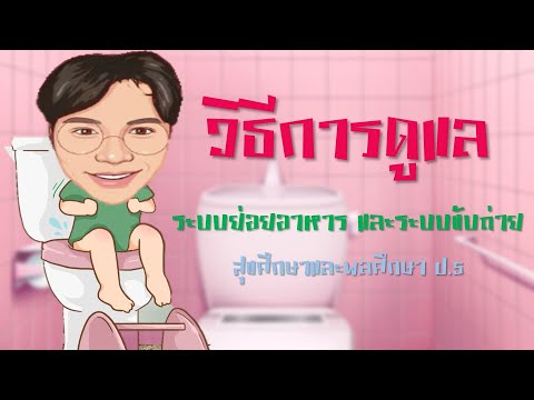 การดูแลรักษาระบบย่อยอาหารและขับถ่าย ป.5 - สุขศึกษา | KruEarth