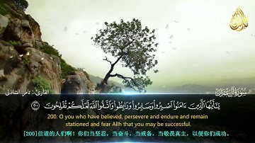 أحلى الكلام كلام ربنا - القارئ تامر الشاذلى