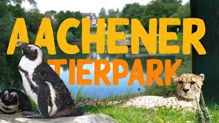 Aachener Tierpark Euregiozoo | Zoo Eindruck