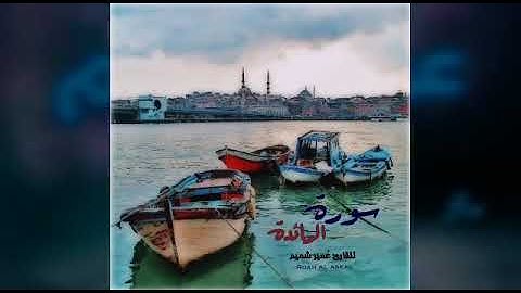 سورة المائدة بصوت القارئ عُمير شميم