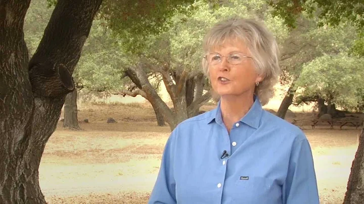 Sharp HealthCare Hip Replacement Surgery: Dianne's...