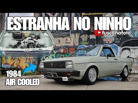 Video ESTRANHA NO NINHO: FANÁTICO POR KOMBIS RESGATA RARA... - youtube