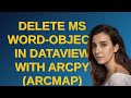 Gis: Delete MS Word-Object in Dataview with ArcPy (ArcMap)