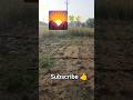 bajre ka farm 🌾🌾🍀#farmar #farming #farmingmotivetion