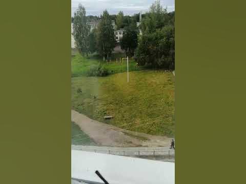 Приладожский школа - YouTube