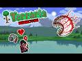 Terraria Hardcore Master Mode Part 1