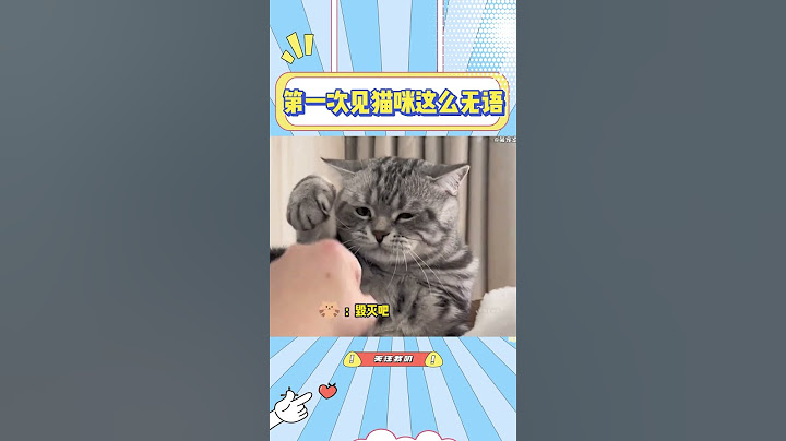 第一次见猫咪这么无语，人类太过分了哈哈哈#猫咪 #萌宠 #可爱 #搞笑