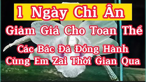 23-7 Chi Âm Toàn Bộ Khách Hàng Đã Đồng Hành Lan Var Việt Nam Trong Thời Gian Qua 1Ngày Duy Nhât