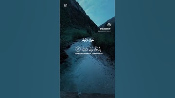 قرآن كريم تلاوة هادئة تريح الأعصاب حالات واتس اب اسلامية #قرآن #اكسبلور