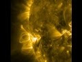 Solar active region sports huge coronal loops  nasa sdo space science