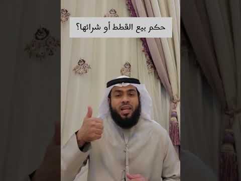 حكم بيع القطط أو شرائها