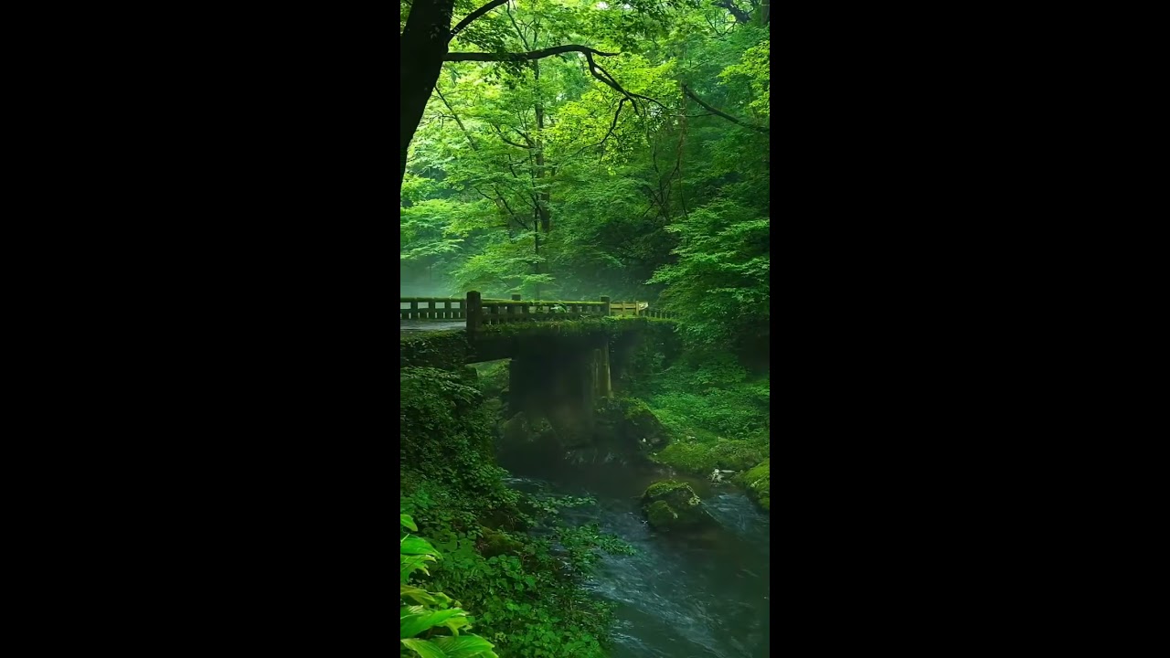 Nature 4K Hdr 60fps