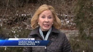 News 4 New York: I-Team "50-Year-Old Cold Case" Promo