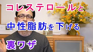 コレステロールと中性脂肪を下げる裏ワザ【札幌 谷井治療室】