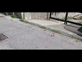 'Igiene e pulizia' a Savona
