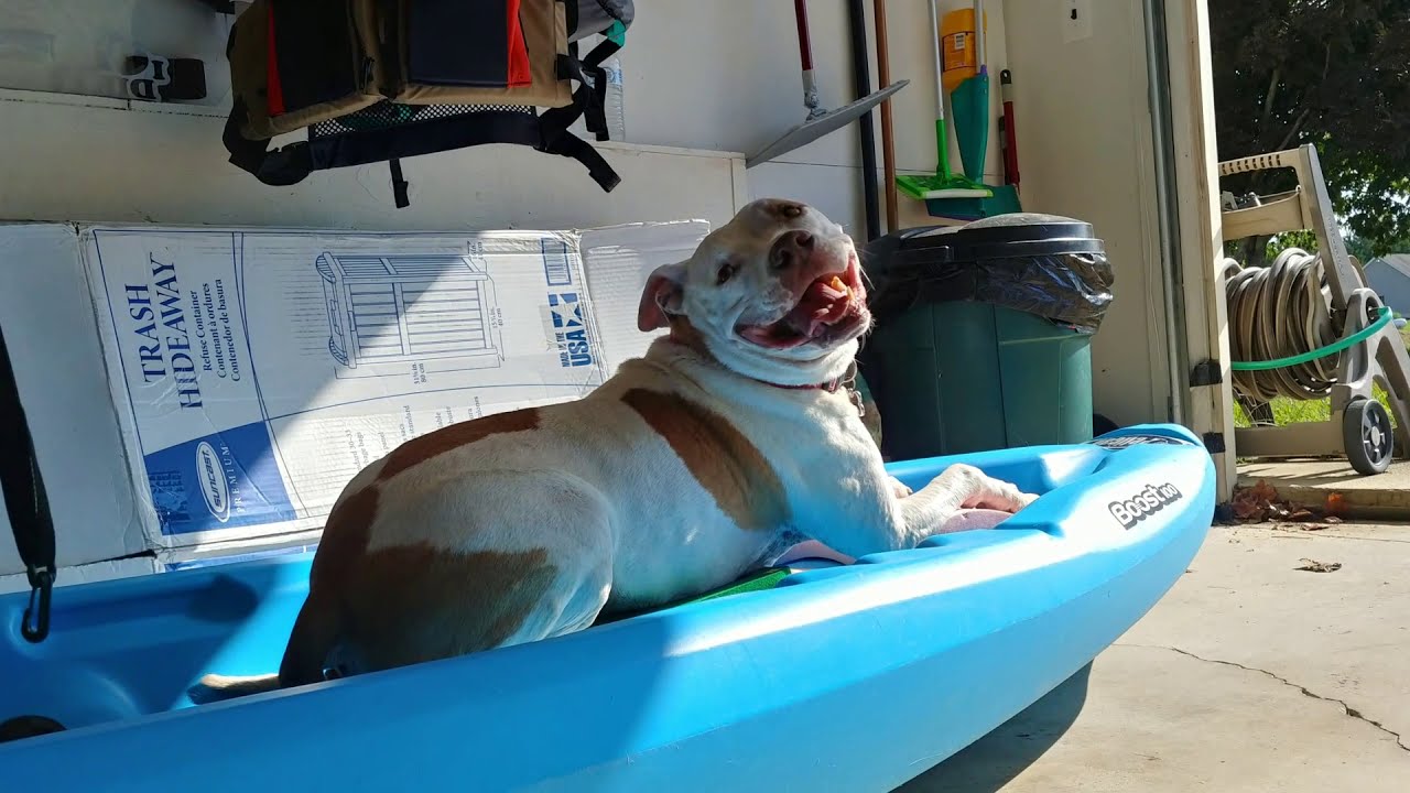 Crow's Nest Preserve Kayak & Canoe Launch YouTube