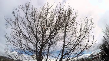 GoPro Hero 4 Silver Timelapse with rotation