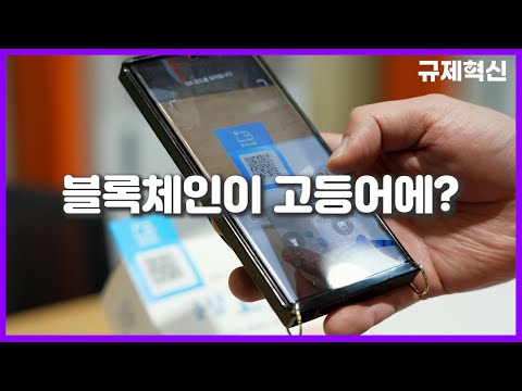 [규제혁신 1년, 현장의 변화] 블록체인 기반 수산물 물류 플랫폼 운영