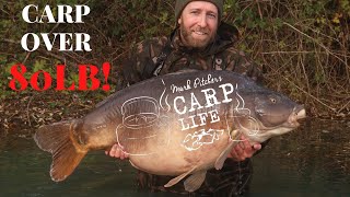 Carp Life - With carp to over 80lb!