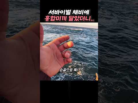 돌과 나무로 만든 서바이벌 채비로 맨손낚시 thumbnail