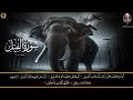 سورة الفيل بصوت الشيخ محمد محمود الطبلاوي 