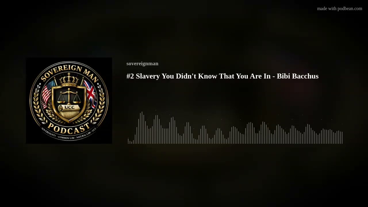 #2 Slavery You Didn't Know That You Are In - Bibi Bacchus #2 Slavery You Didn't Know That You Are In - Bibi Bacchus