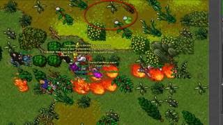 Tibia morta pk part 2