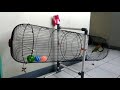 Sangkar Burung Lovebird Umbaran