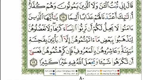 سورة النساء _ القارئ عبدالرحمن العوسي _ المصحف المرتل