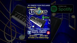 Mixteca Bonita/Beautiful Mixtec - El Torito y Sus Teclados(Chilena Inedita)