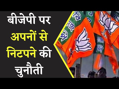 BJP उम्मीदवार के खिलाफ Party के नेताओं में नाराजगी, विरोधियों के साथ अपनों से भी निपटने की चुनौती!