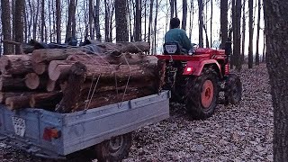 В Лес За Дровами На Тракторе Шифенг 244!