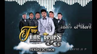 Video thumbnail of "Heridas de amor 💔 ( TROY Y LOS REYES) #ambato🇪🇨 (letra y música)"