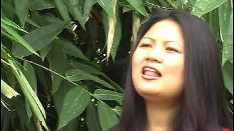 Lalruotmawi - Jerusalem zion khawpui ( Official Video)