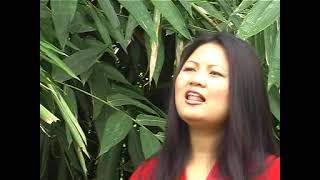 Lalruotmawi - Jerusalem Zion Khawpui Official Video