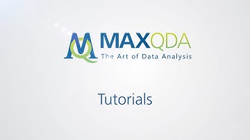 [2016] MAXQDA 12: Code Relations Browser