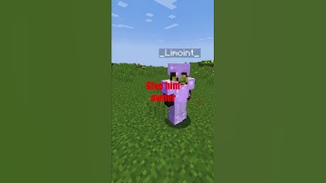 I gave a HACKER Owner on My Minecraft Server