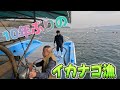 【10年ぶりのイカナゴ漁】幻と言われるほどとれなくなつたイカナゴ漁に行ってみた！